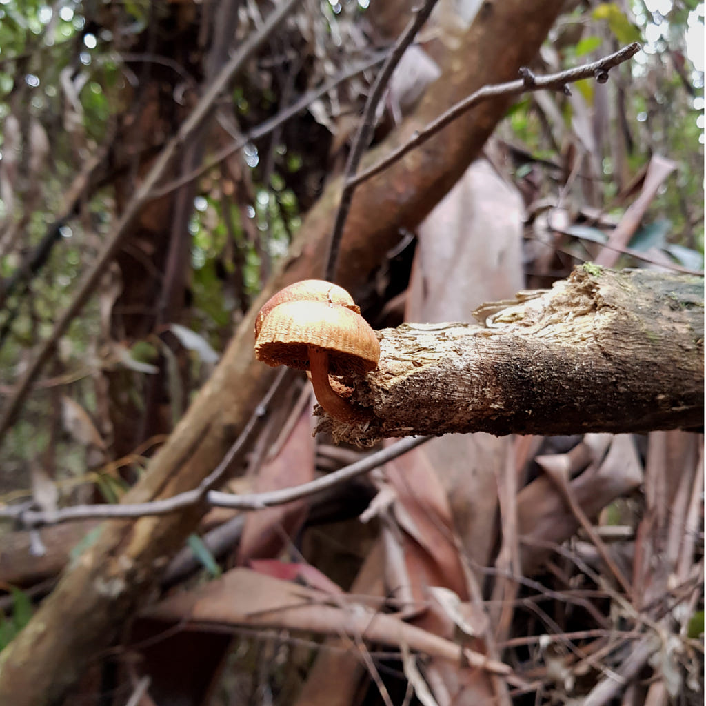 Pair by Elizabeth Fitzgerald on 500px.com