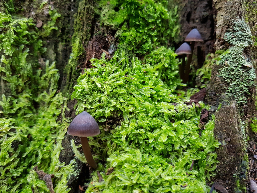 Blue Caravan by Elizabeth Fitzgerald on 500px.com