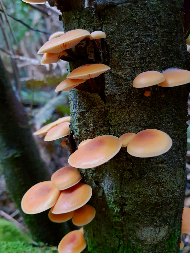 Vertical by Elizabeth Fitzgerald on 500px.com