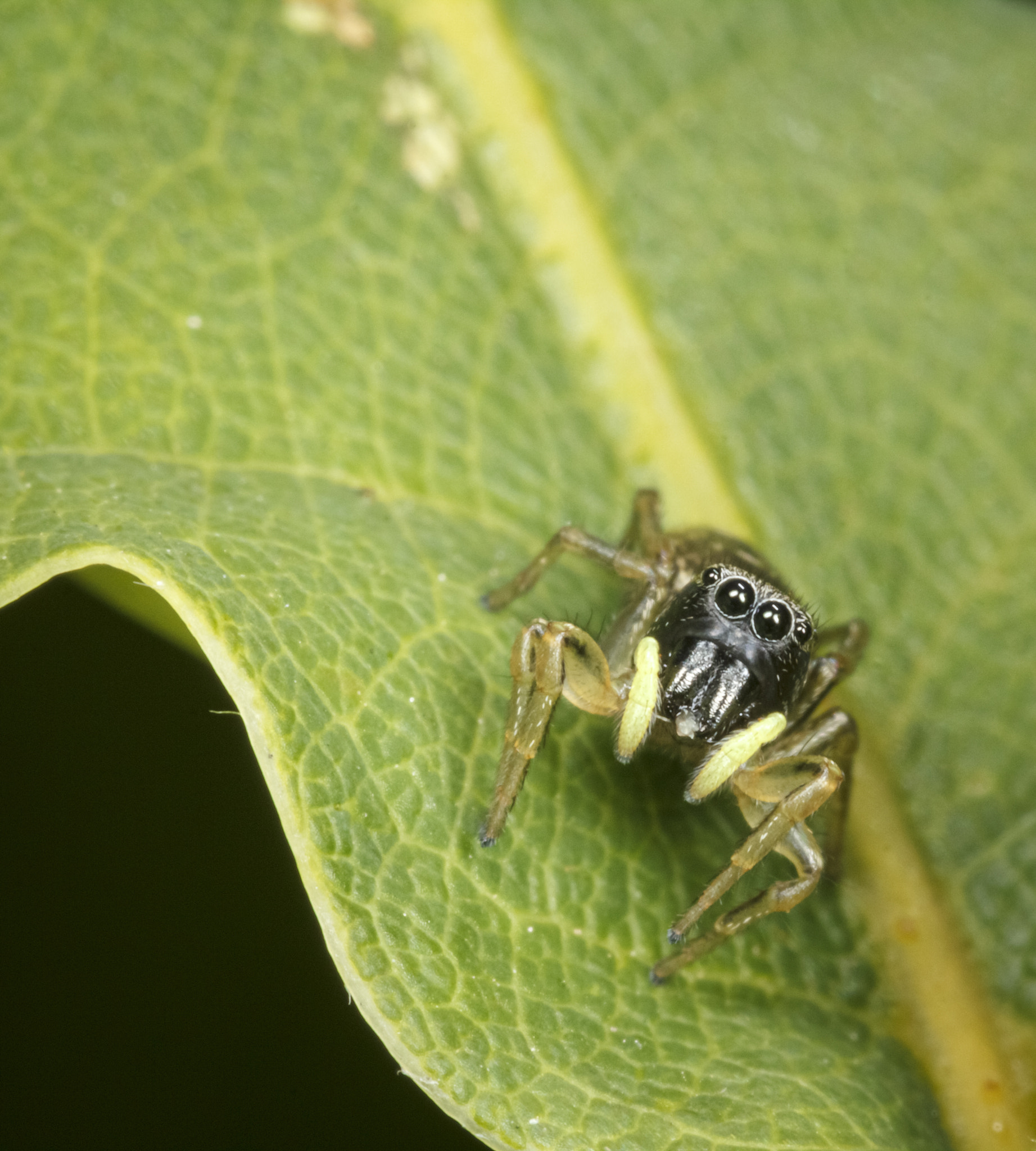 IMAGE: https://drscdn.500px.org/photo/310757769/q%3D80_m%3D1500/v2?webp=true&sig=08941c5aa29c976e88ca4583c5475446c410b06aa35a88d81a283e84d6a8e7f8