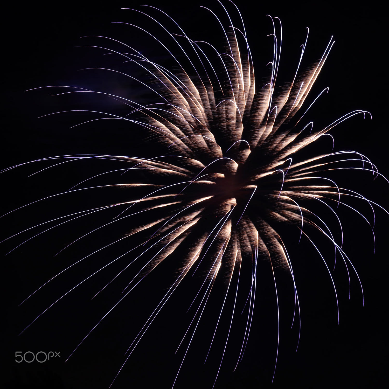 Blue Fringed Starburst by gT Comer on 500px.com