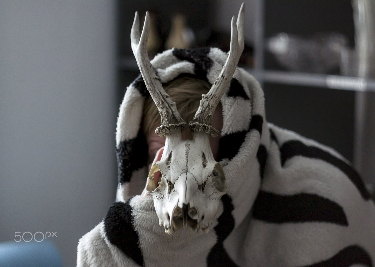 Skull