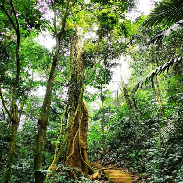 Ninh Binh Caves Vietnam | Galaxy Grotto 3 Caves and more
