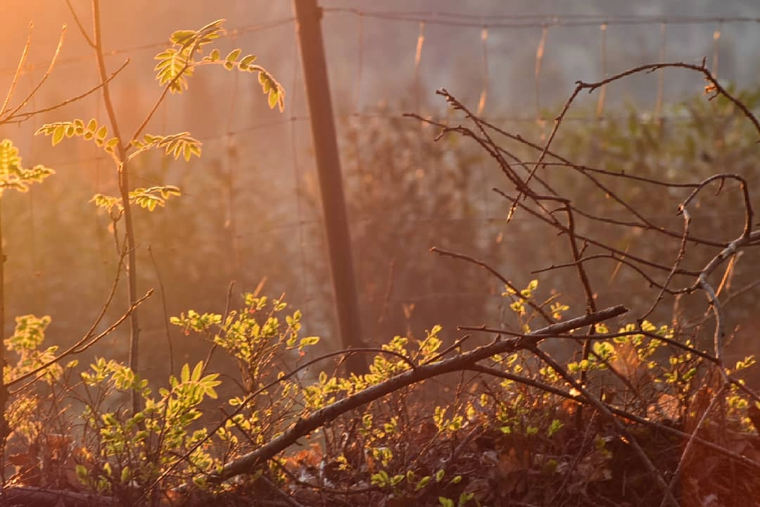 Bad Content, great Light