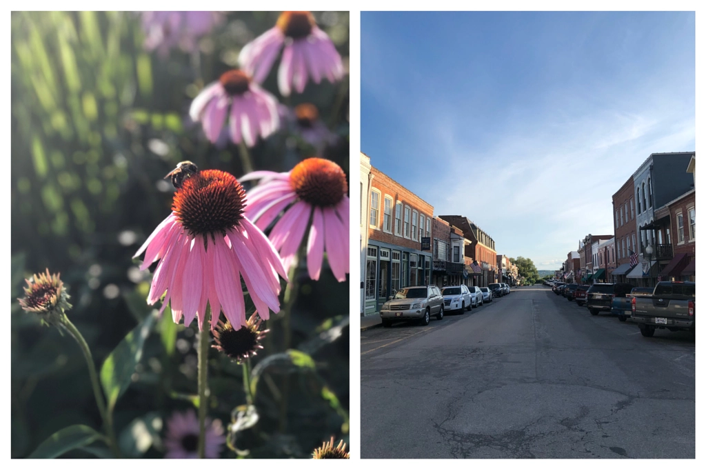 Untitled by Jacqueline and Kevin Reape on 500px.com