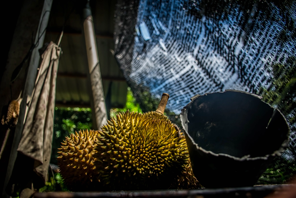 The Durian by L's on 500px.com