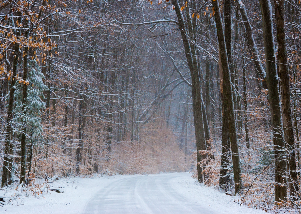 Maple Drive in Snow (D1H) by Stephen Sepan on 500px.com