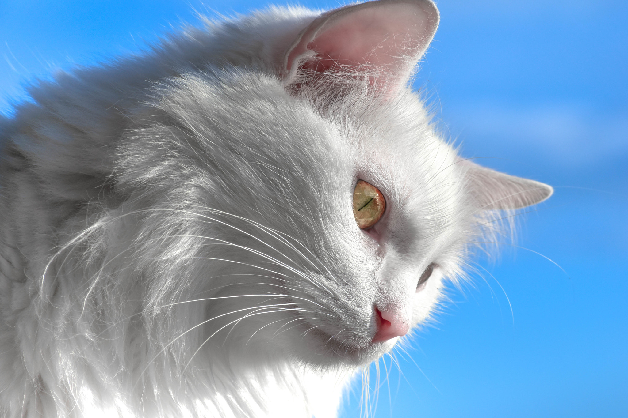 v2?sig=f6dfa4e1bf6eac0de6fc2e43a3450d6a3ec36e4db5b72b5132fe2463275028aa