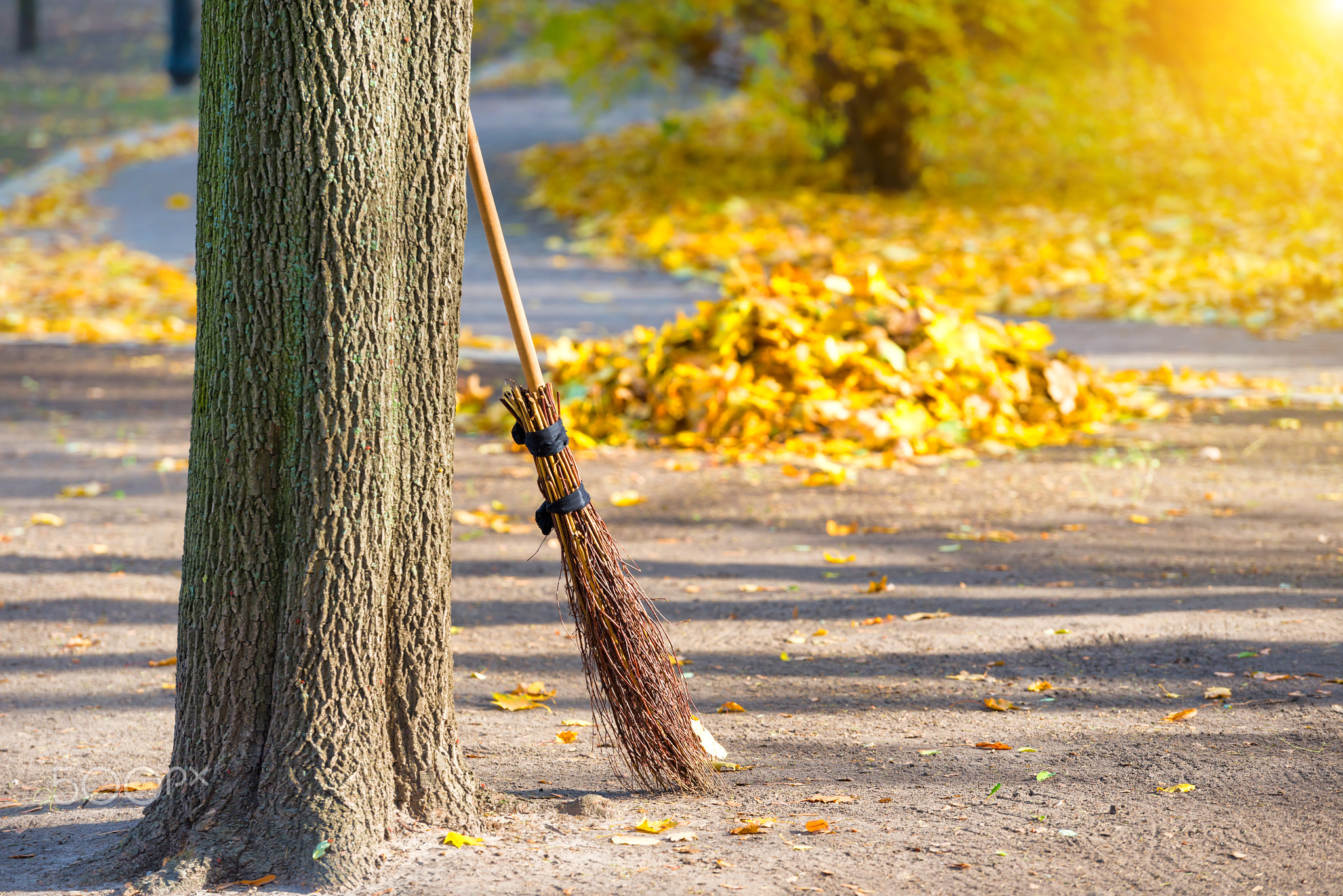 Cleaning in the autumn park
