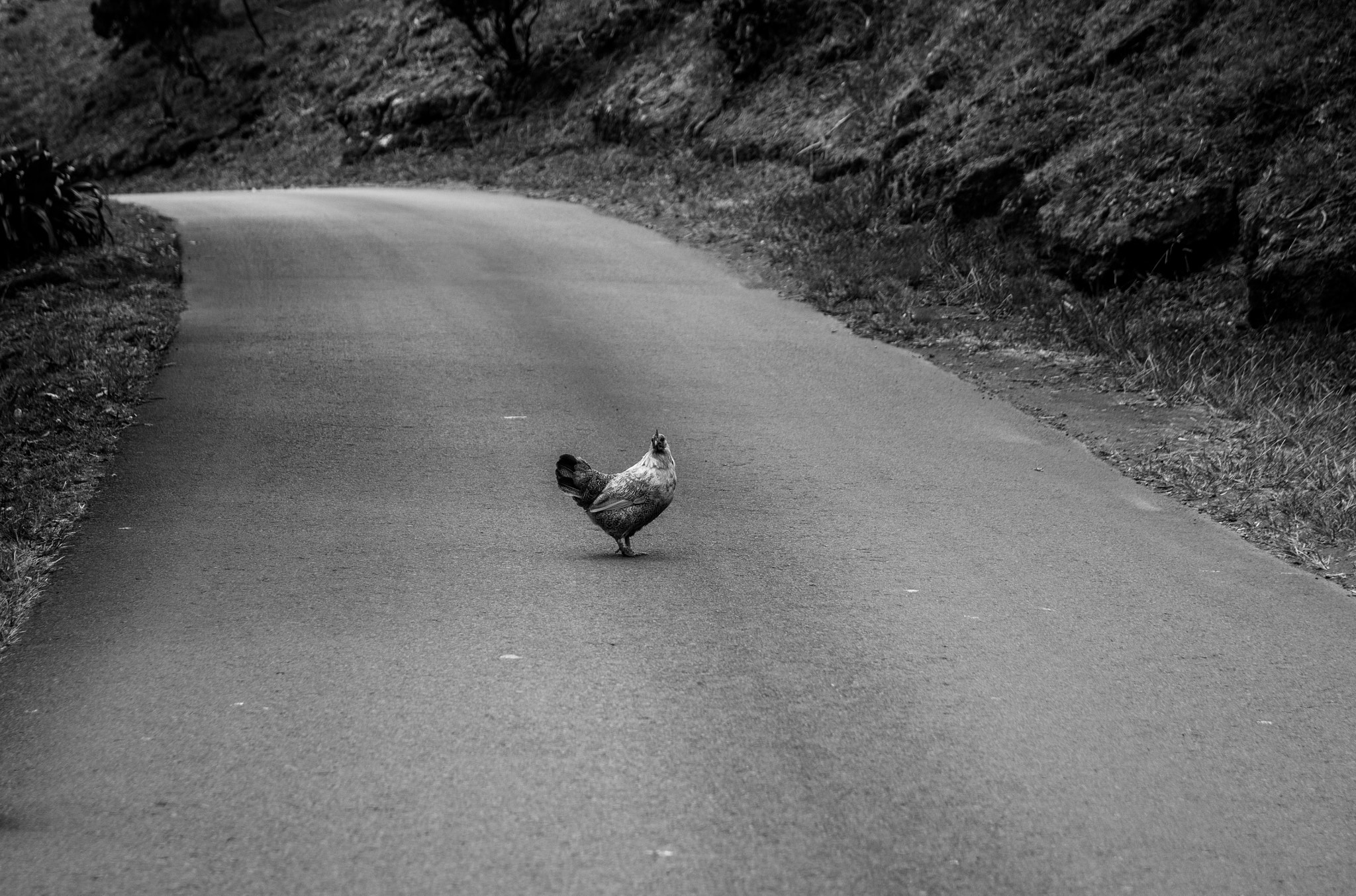 v2?sig=162e4a9e55c1a997e0dcca9809d6fbd21fea9e3e2b7e97c3e732195f83340d6f