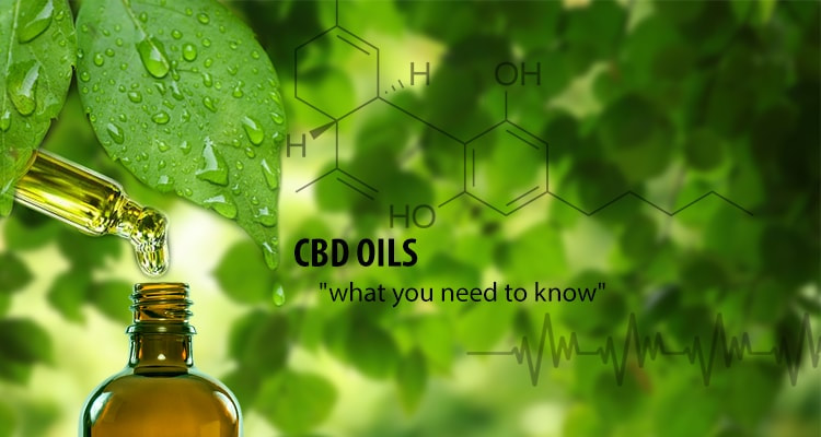 things you need to know about cbd oils