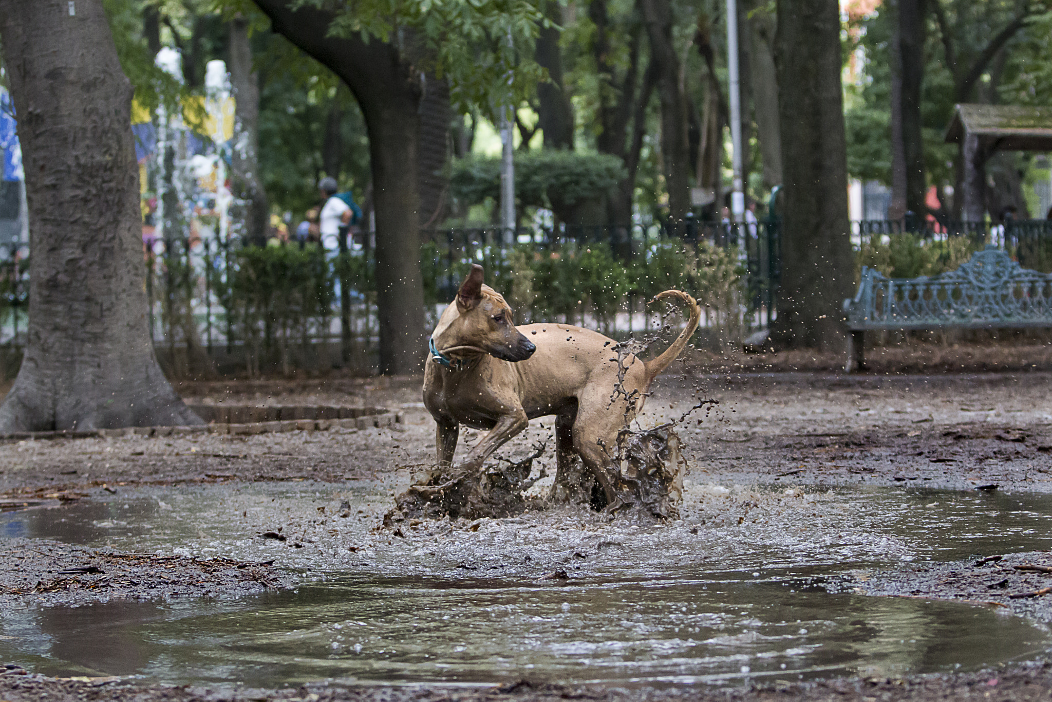 v2?sig=c86902ff540b9d98e5f0fe124428eb149