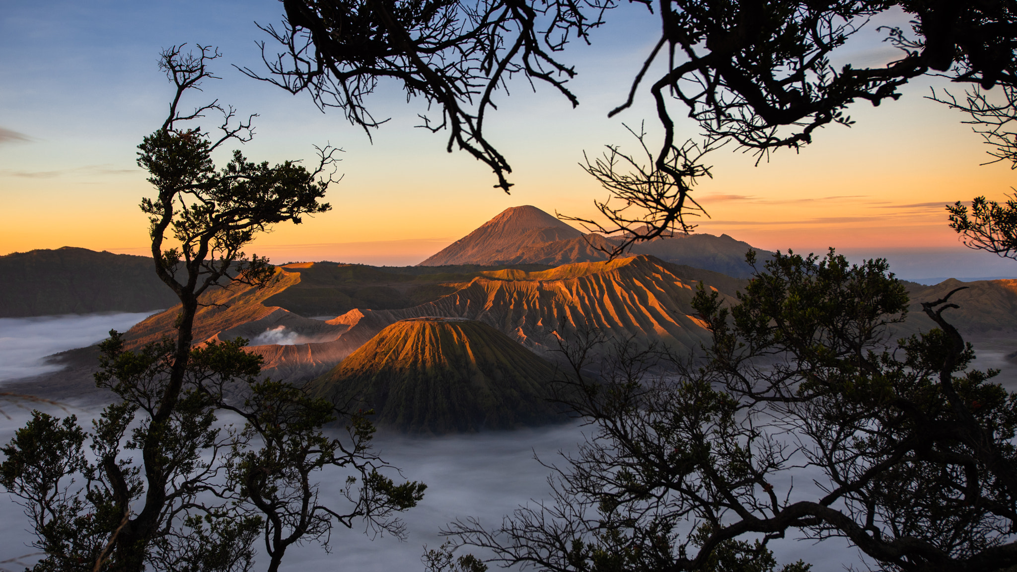 sunrise at mount bromo with trees frame