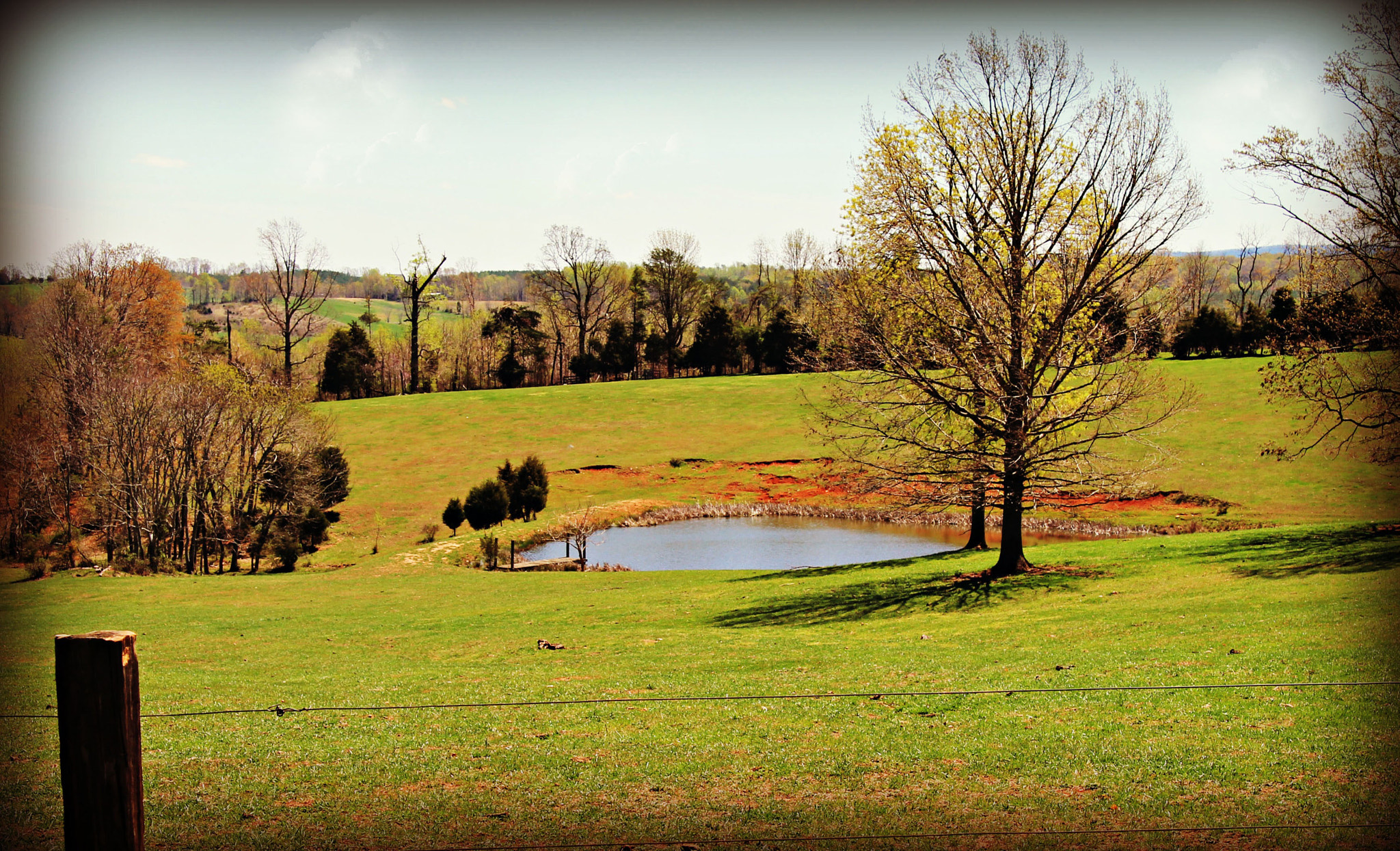 Small Pond