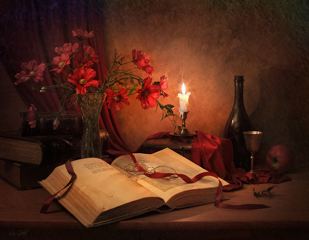 Forgotten sonnet,   Luiza  Gelts -     500px.com