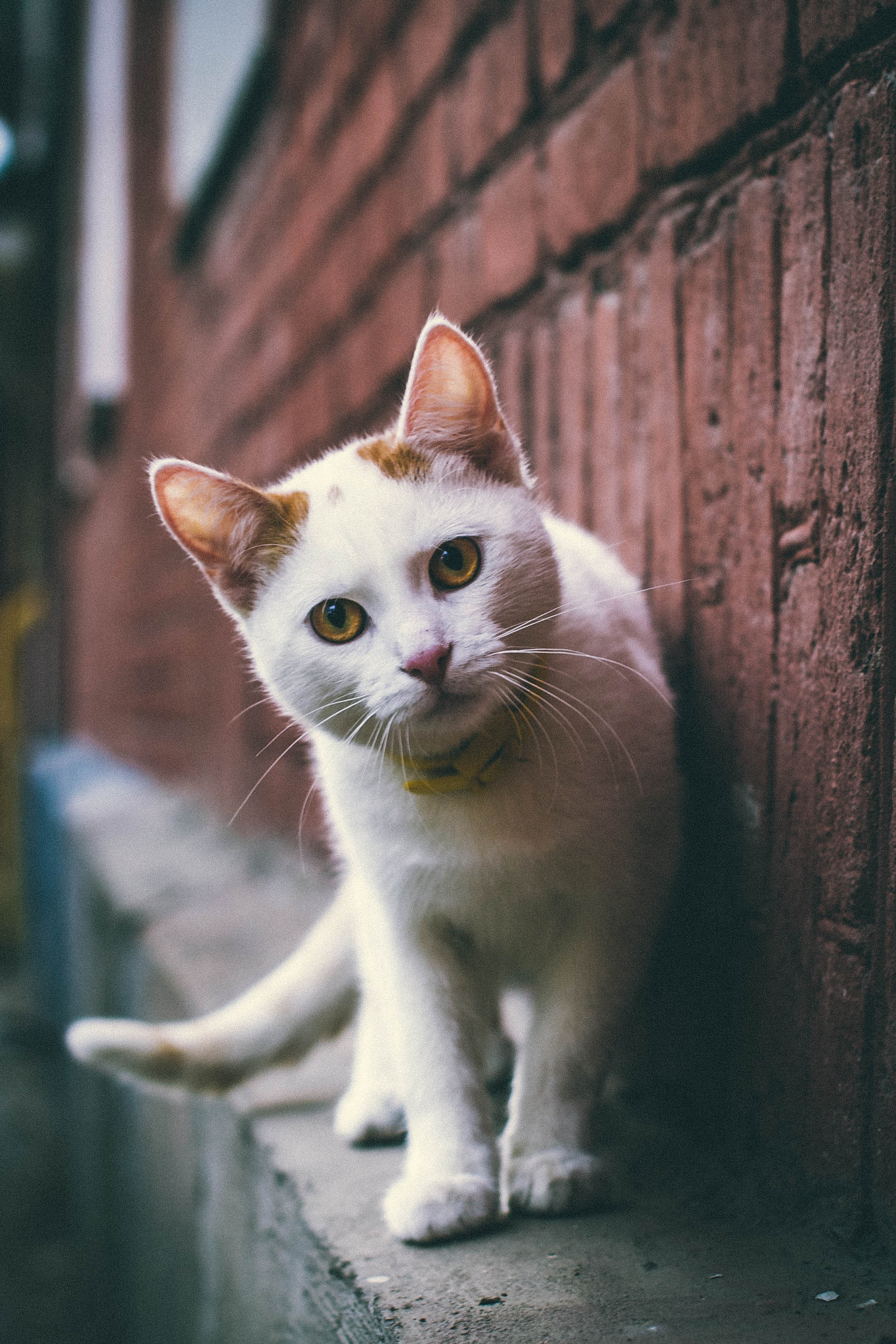 v2?sig=c31965dd8b13cacf75b30dbc8a58e4ebcbba5c625521f069f1bdd2a22a0837f2