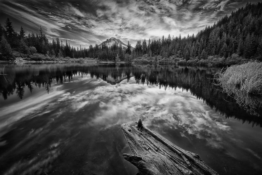 Mirrored Soul · Monochrome by Tula Top / 500px