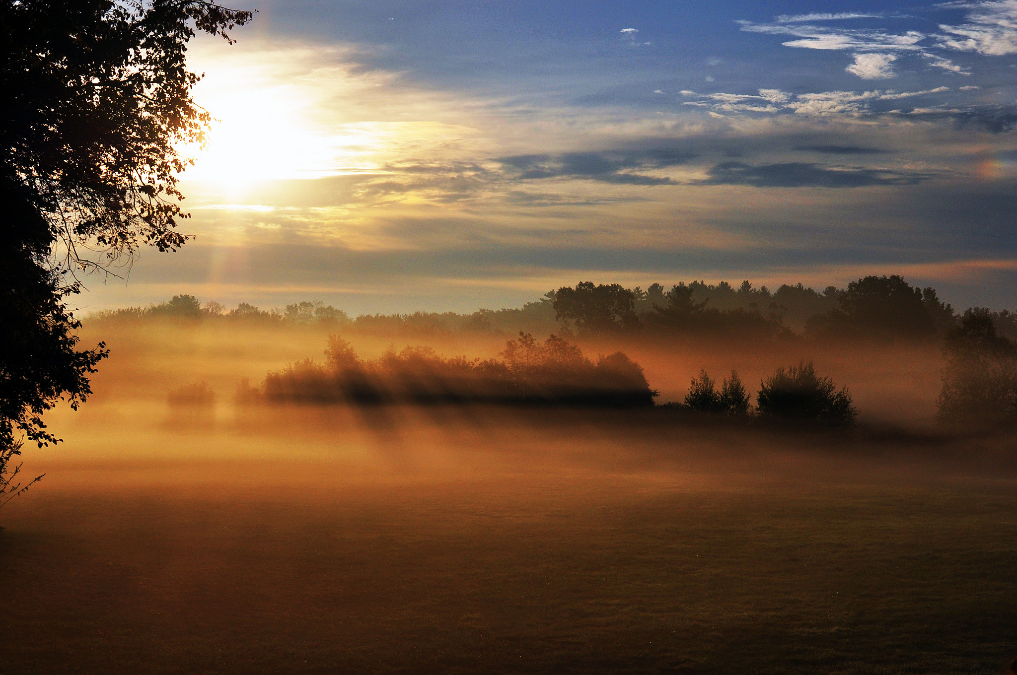 Morning on the Meadow