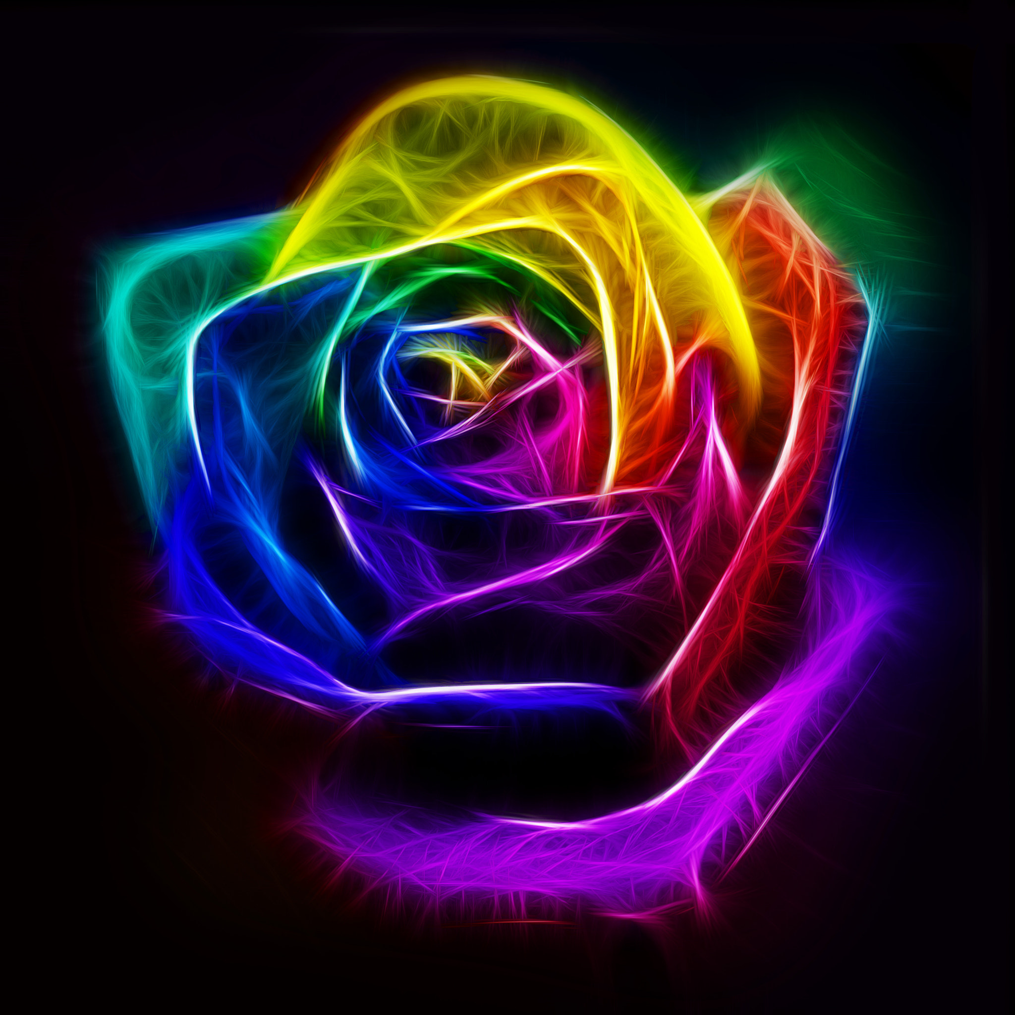 Download Rainbow Rose Fractal Art by Pixie Copley - Photo 32372443 / 500px