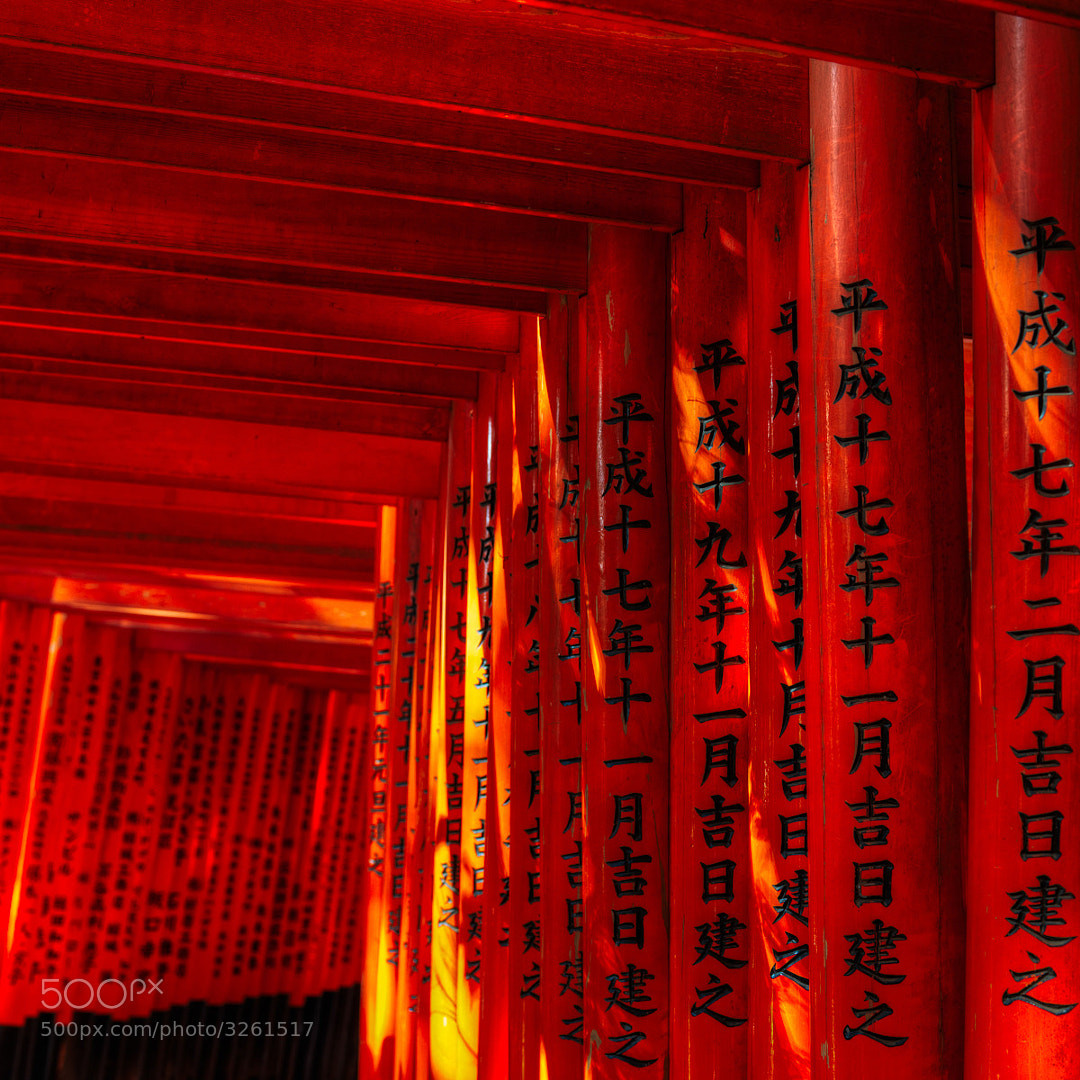 Crimson by Regis Boileau