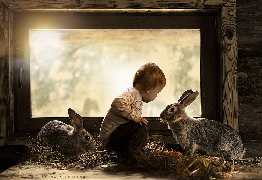 Untitled by Elena Shumilova on 500px.com