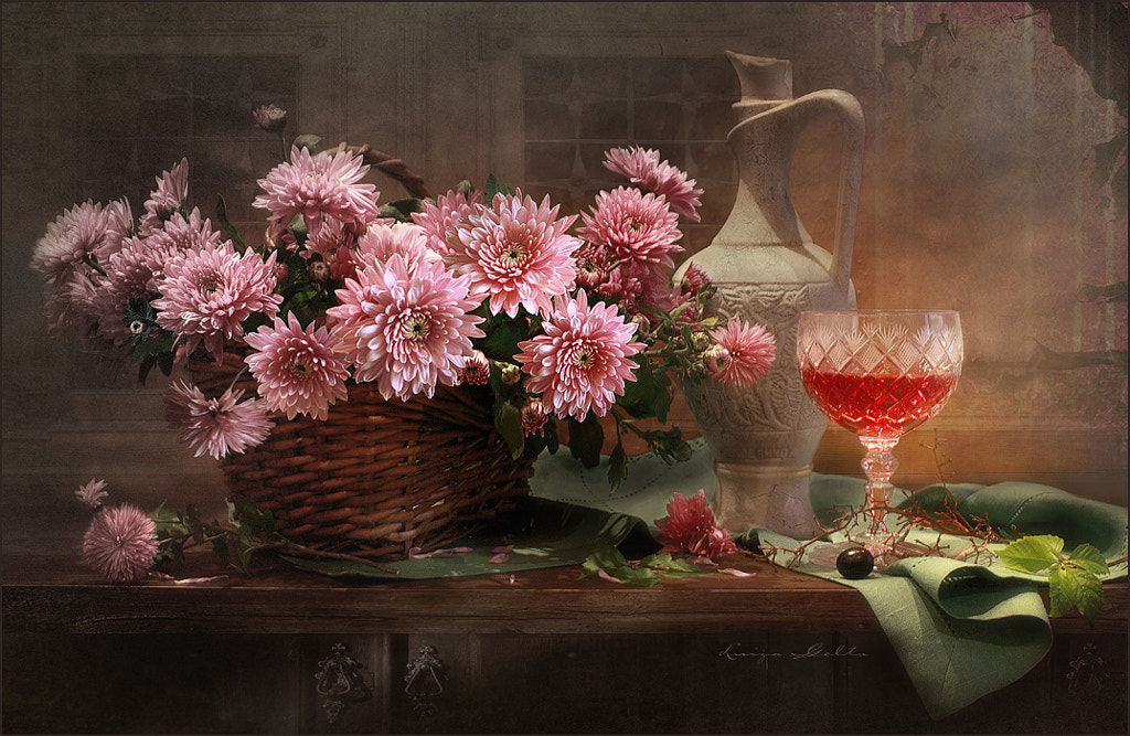 Black grape,   Luiza  Gelts -     500px.com