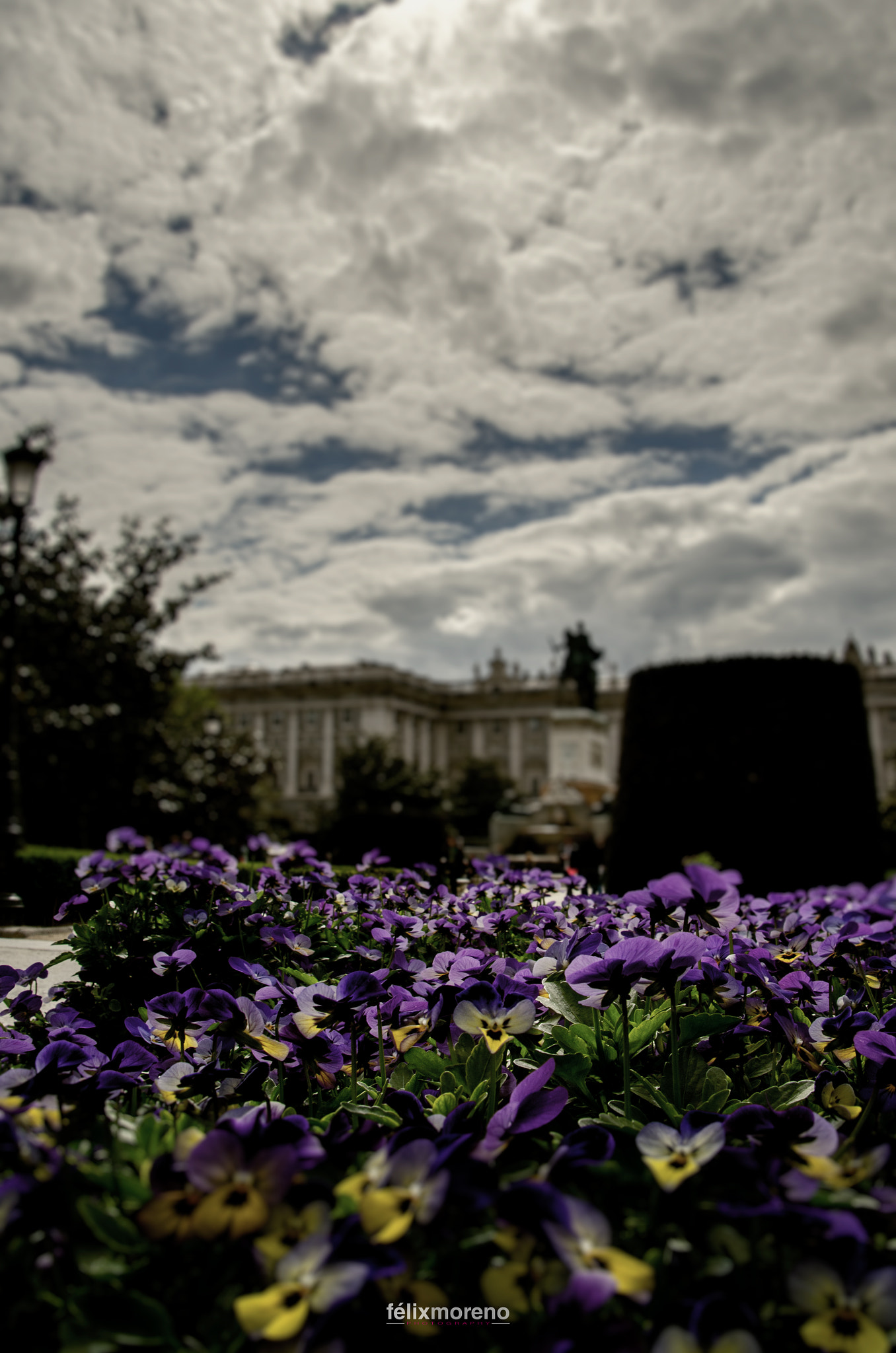 Spring in Madrid