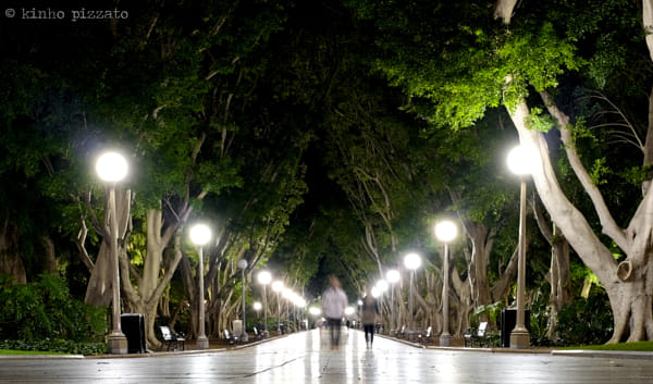 Walking In Hyde Park