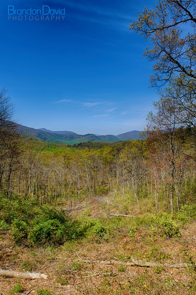 The Great Smoky Mountains, Tennessee