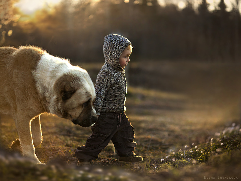 followed... by Elena Shumilova on 500px.com