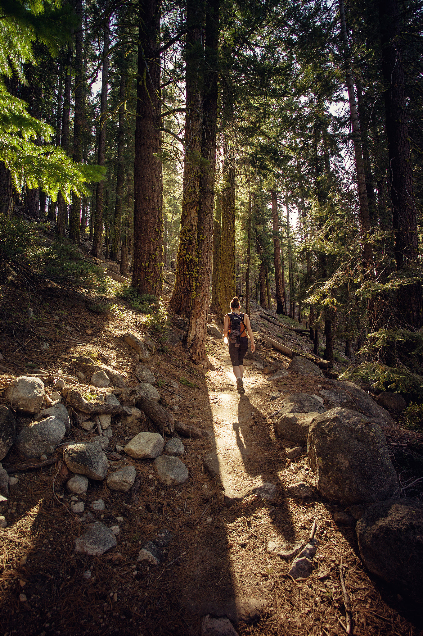Yosemite - Trailblazer