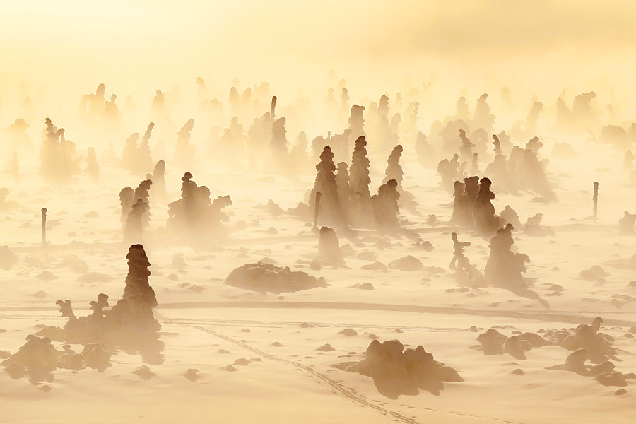Snow Ghosts by Karol Nienartowicz on 500px.com