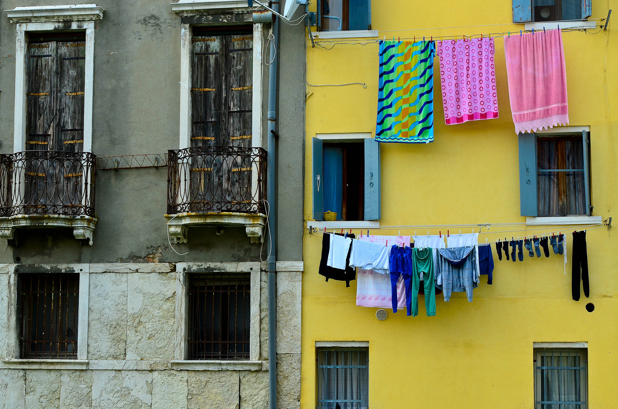 chioggia