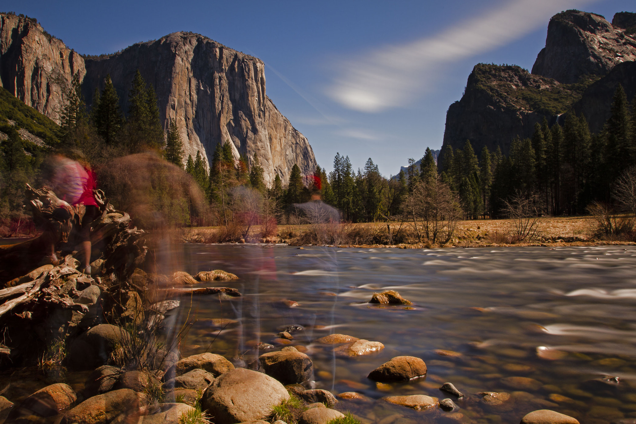 Tour Bus Arrival - Yosemite