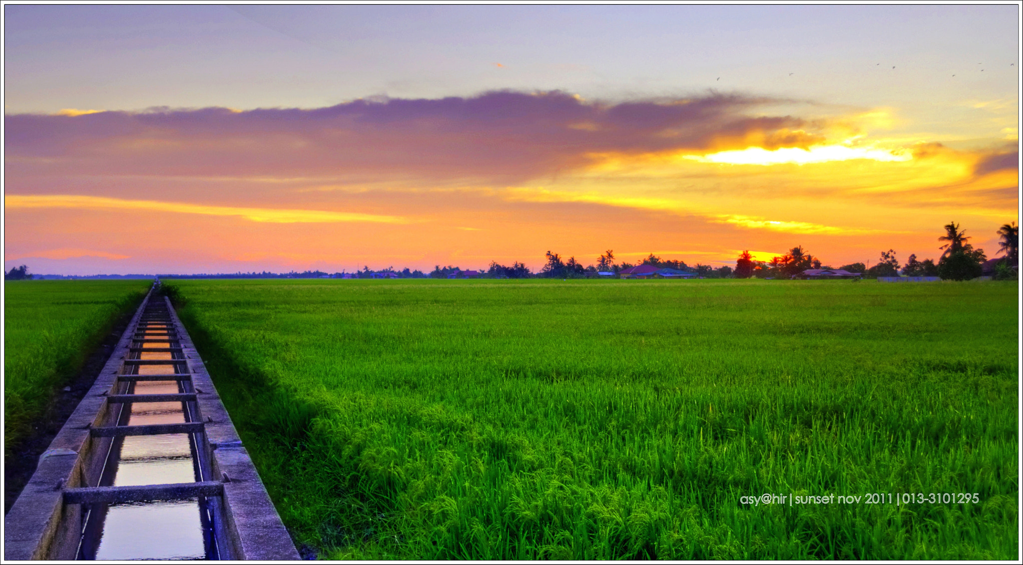  Sawah  padi  by Syahir Yusoff 500px