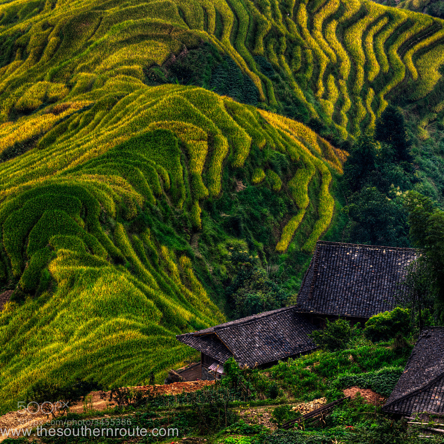 The Many Folds of Her Coat by Regis Boileau