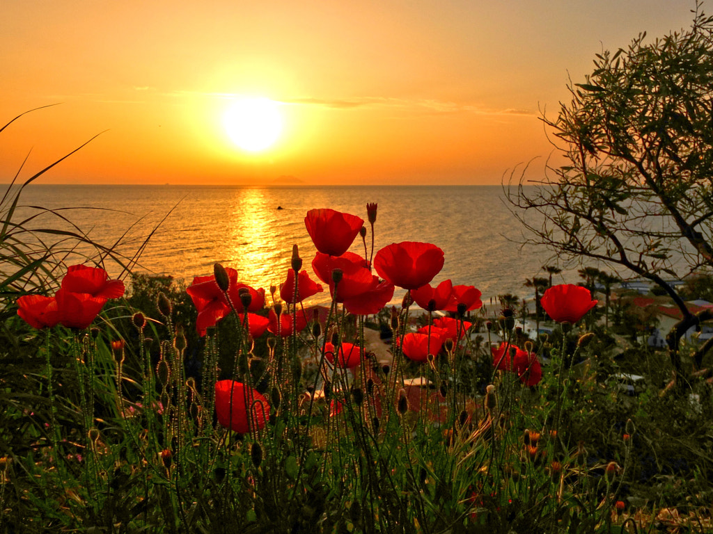 Frühling am Meer by editha sieben / 500px