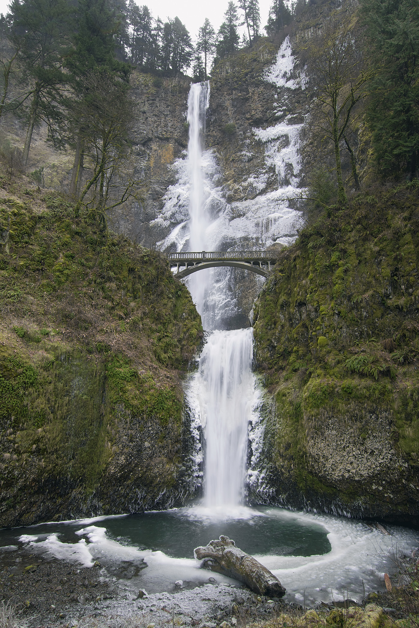 Multnomah Falls in Winter