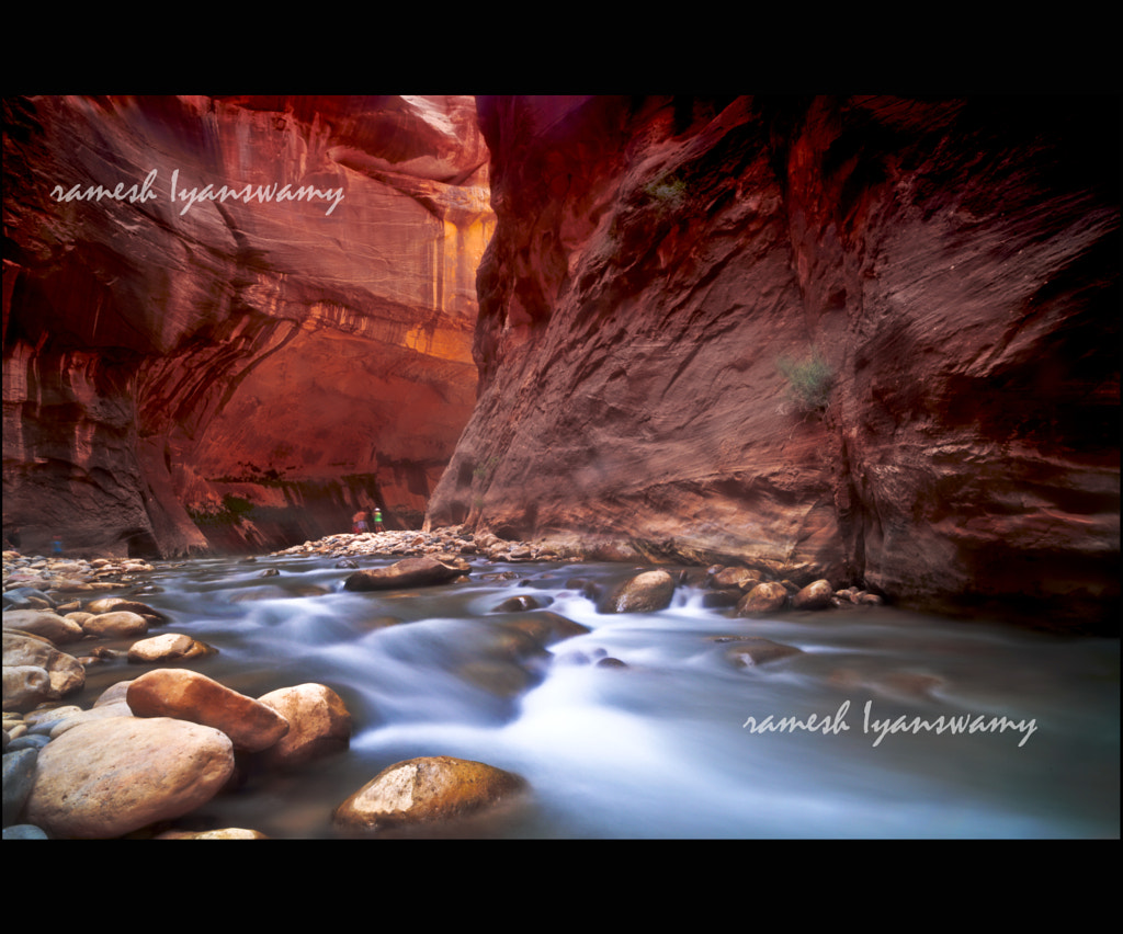 Zion Narrows