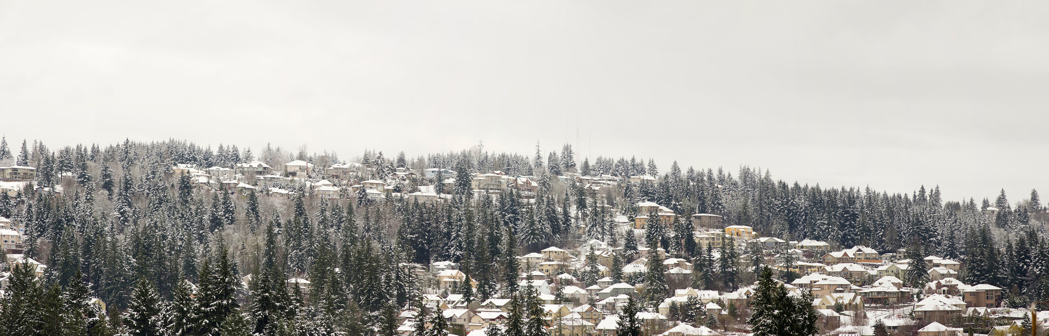 Houses on the Mountain in Winter