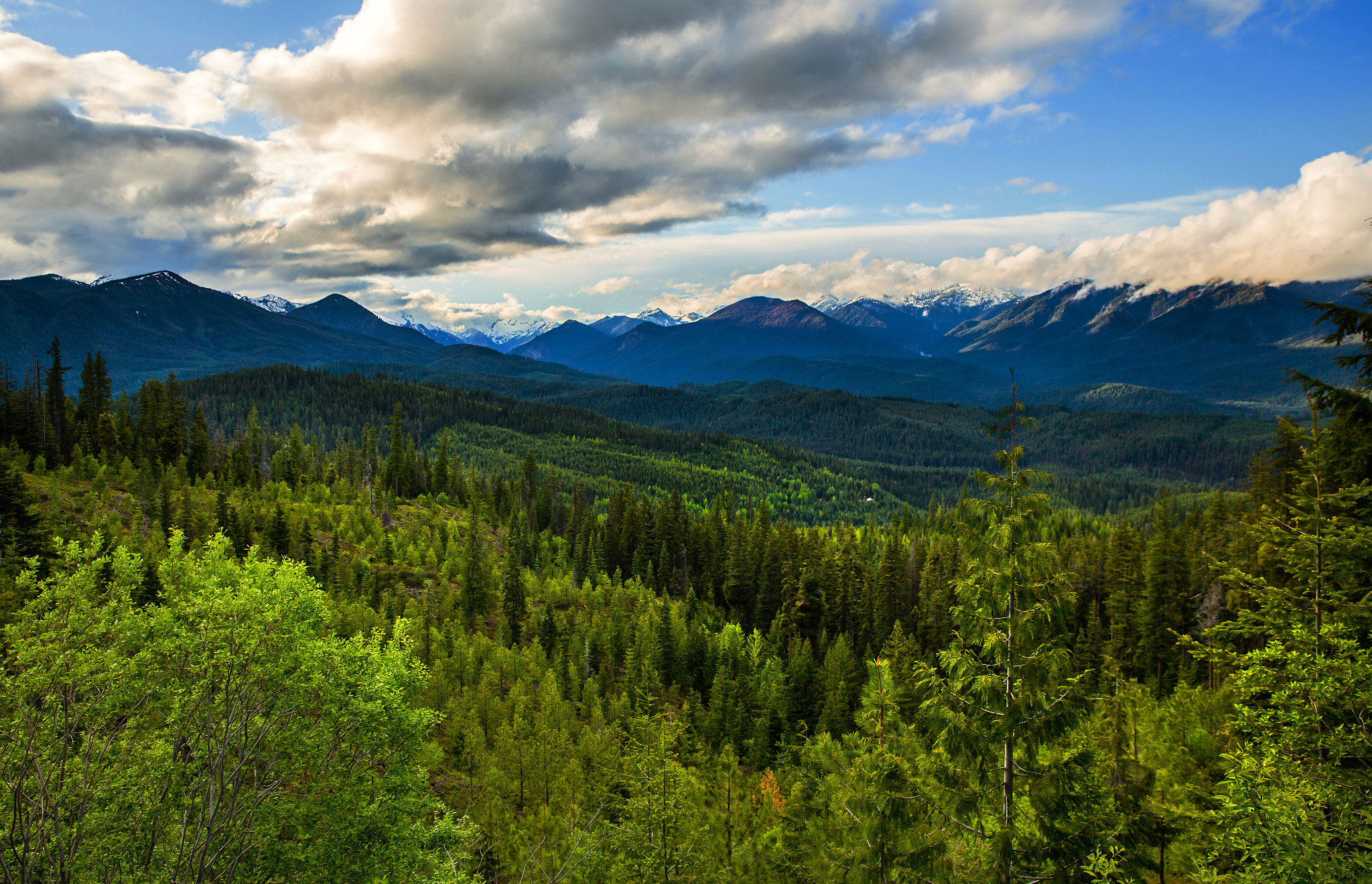 Wenatchee National Forest Is The Pnw Paradise You 39 Ve Dreamt Of