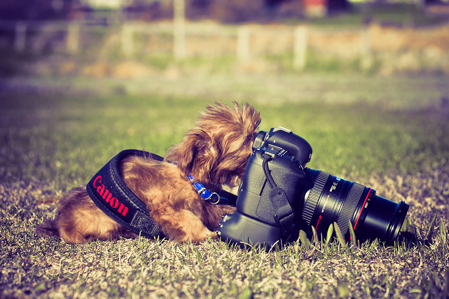 Work it for the camera baby!