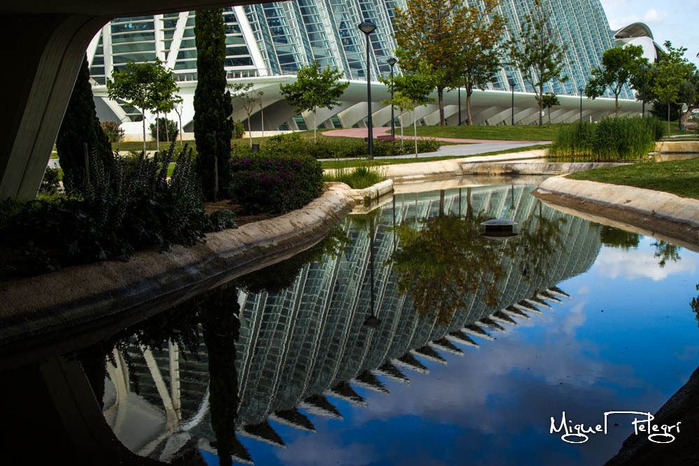 Reflejos