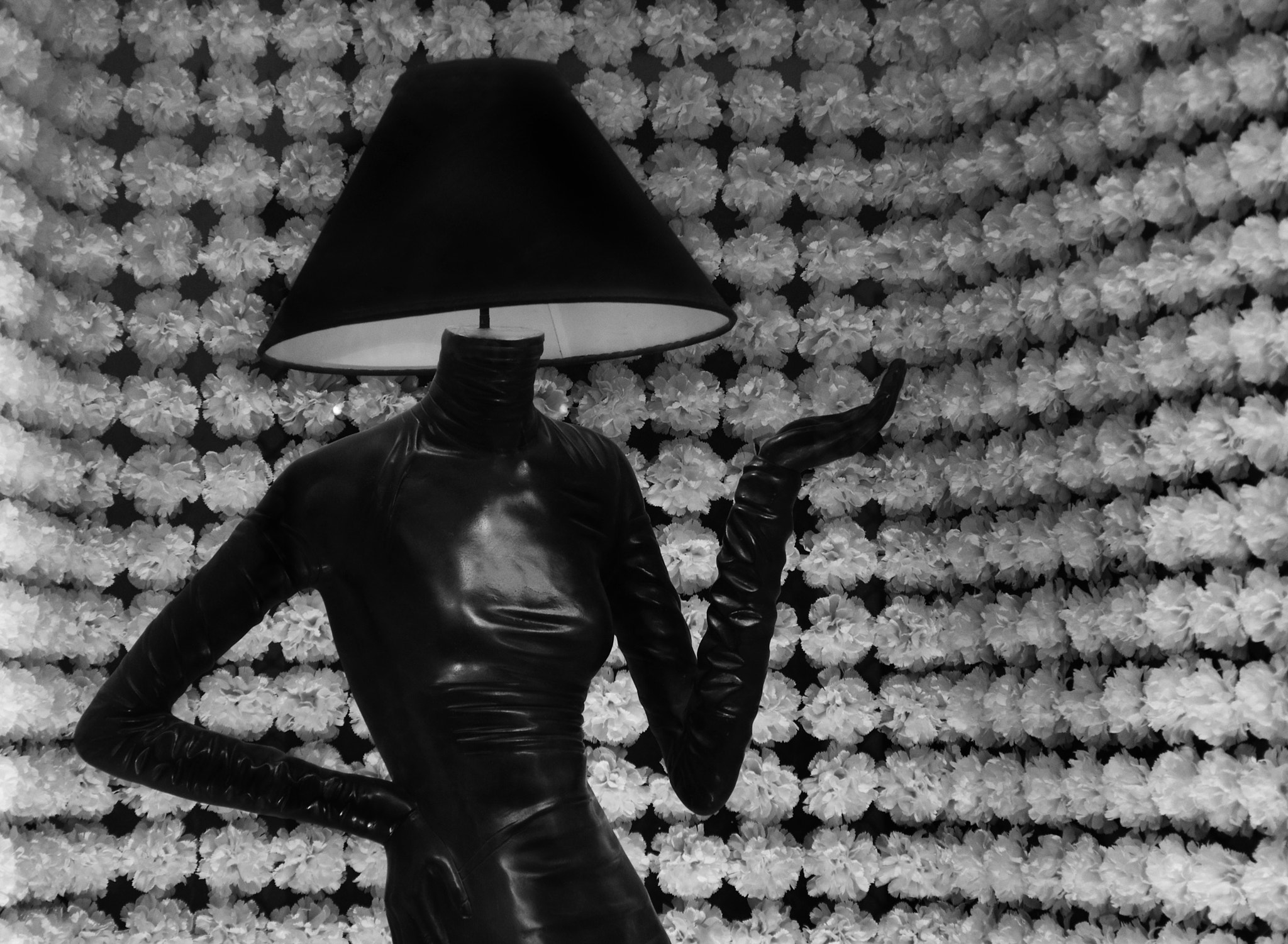 Miss Lamp