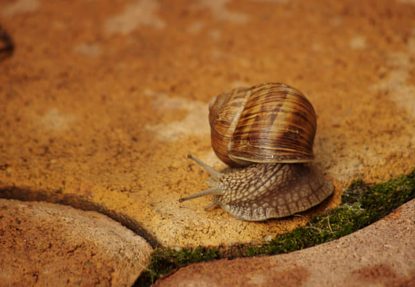 Turning to the right, suddenly by Miklós Harmatos on 500px.com