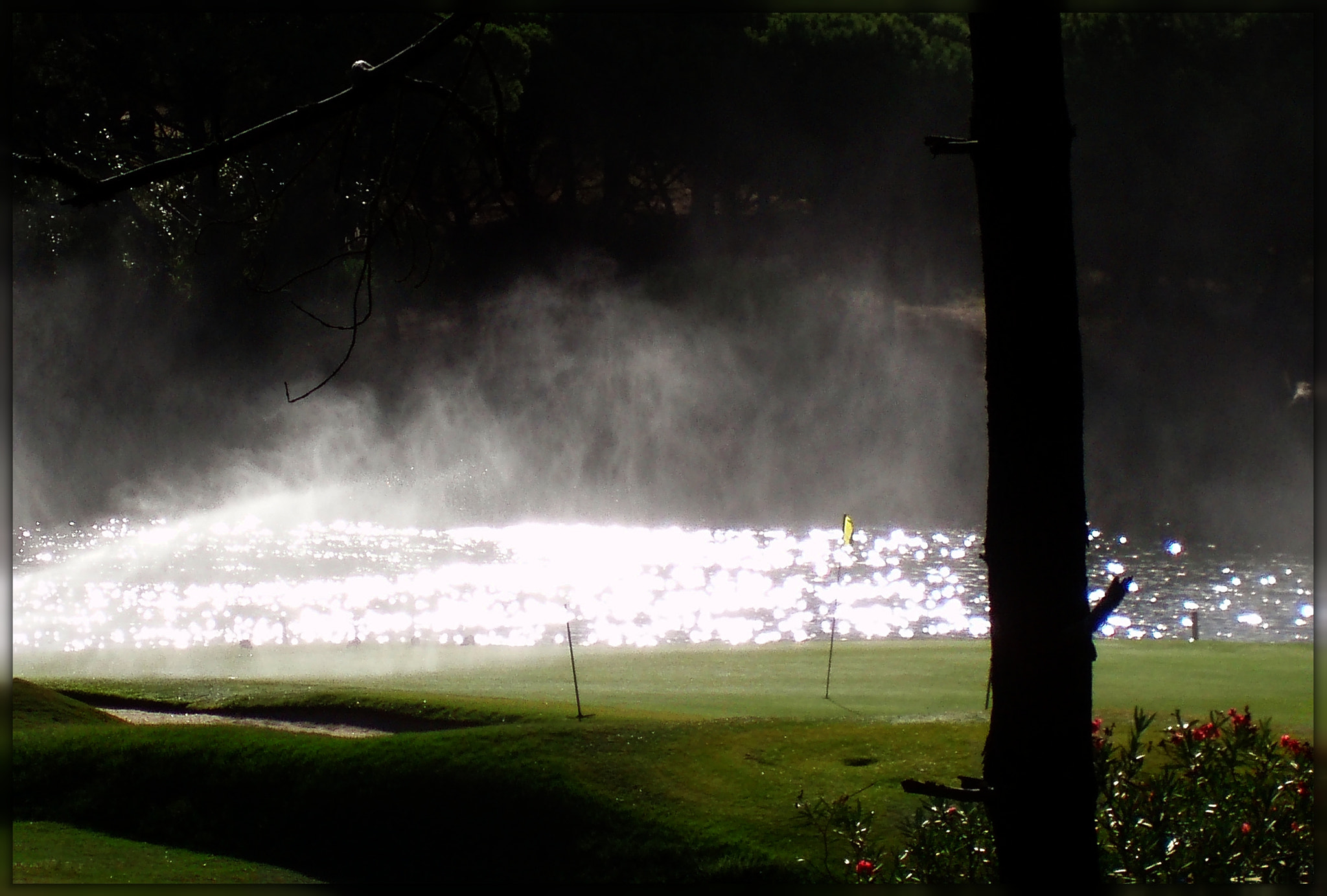 Morning evaporation 