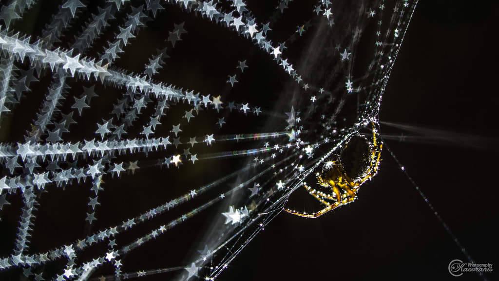 Weaving her own galaxy by Christos Kaouranis on 500px.com