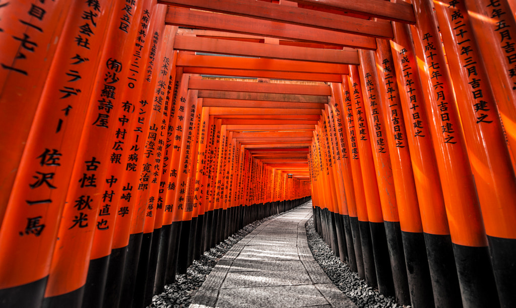 Senbon Torii, Kyoto by Zachary Voo on 500px.com