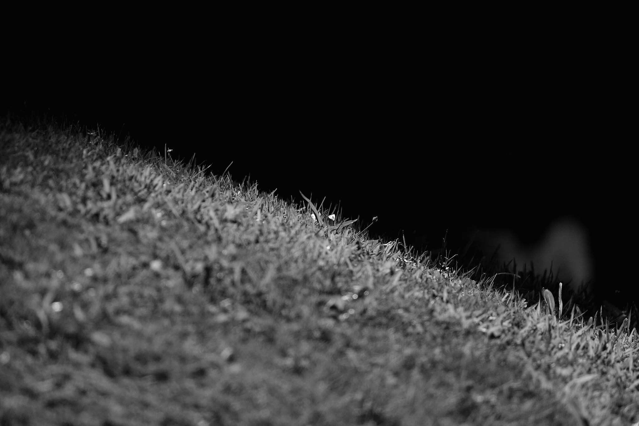 The ghost behind the green.