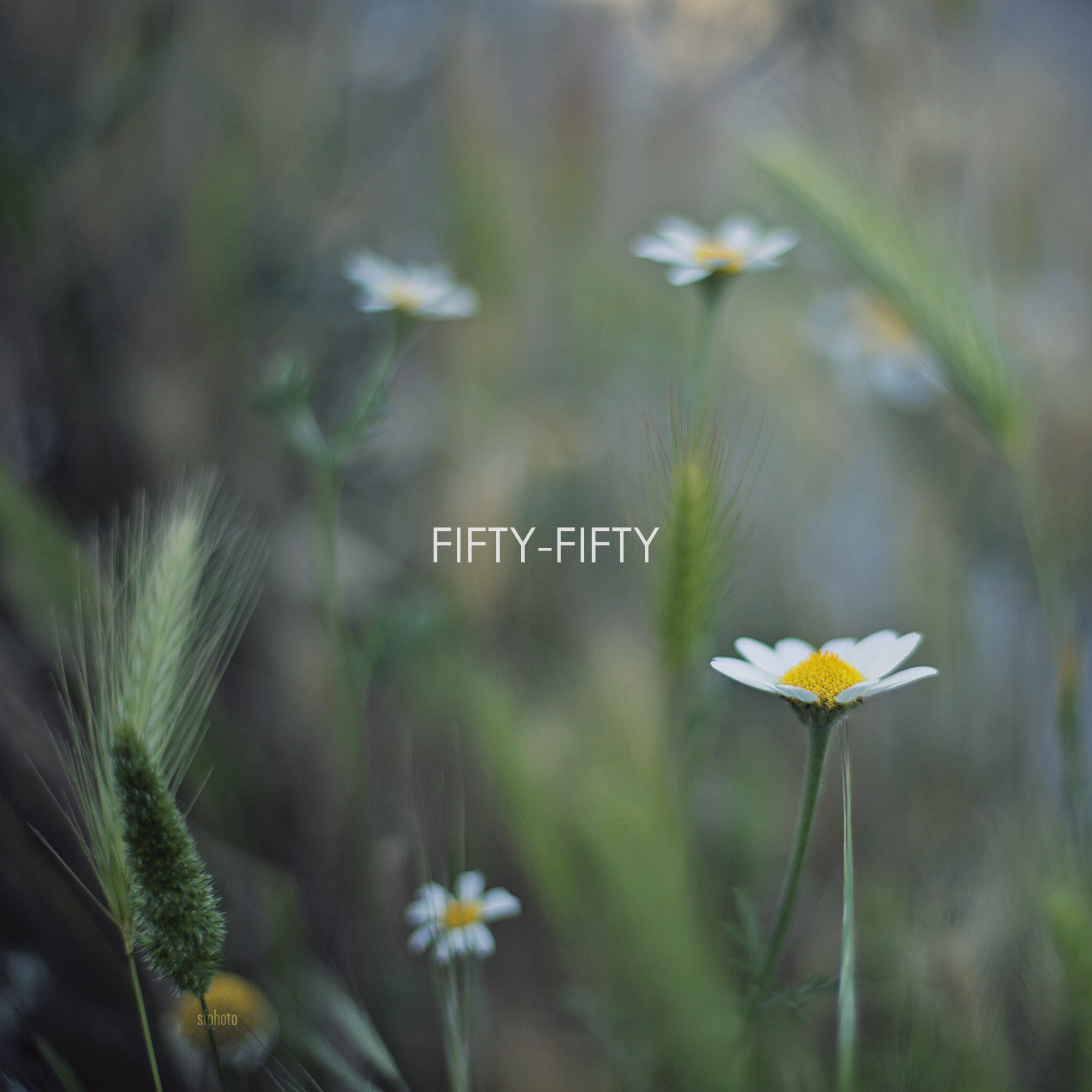 v2?sig=93d75adf6b0b47db97f5001a9587b6dbd3c68f67c4db00c63d3815dd3e9080b9